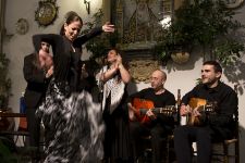 Fotografía de Patio de la Judería Fotografía de Patio de la Judería