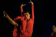 Festivales de Flamenco