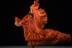 ballet_flamenco_de_andaluca_en_el_festival_de_jerez_2012_3_20120227_1059299943