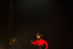 ballet_flamenco_de_andaluca_en_el_festival_de_jerez_2012_6_20120227_1468112860