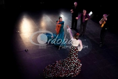 espectculo_inaugural_de_la_bienal_de_mlaga_20130302_1837744740
