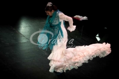 espectculo_inaugural_de_la_bienal_de_mlaga_20130302_1837960325