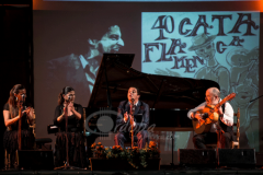 Cata Flamenca de Montilla 2014