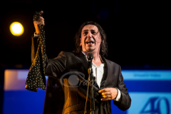 cata-flamenca-montilla-2014 (10)
