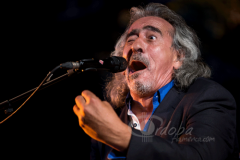 cata-flamenca-montilla-2014 (13)