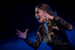 cata-flamenca-montilla-2014 (3)