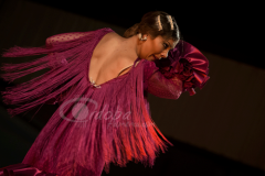 cata-flamenca-montilla-2014 (6)