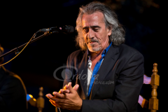 cata-flamenca-montilla-2014 (7)