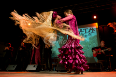 cata-flamenca-montilla-2014 (8)