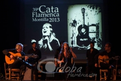 argentina_20130901_1427921699