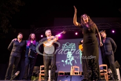 argentina_20130901_1616338648