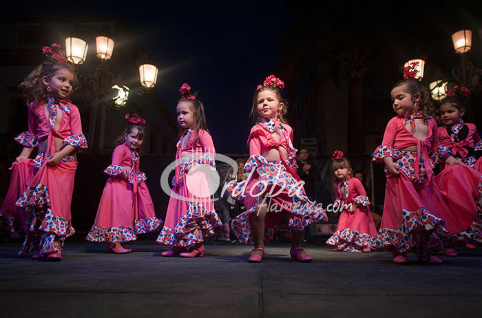 academia_de_baile_flora_e_hija_20130503_1921385549