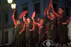 academia_maribel_mantero_1_20120429_1488401583