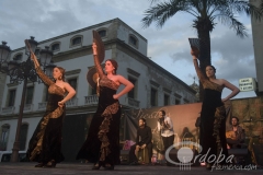 endance_crdoba_10_20120428_2054059692