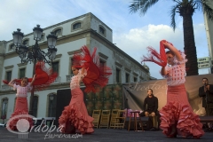 endance_crdoba_5_20120428_1880176255
