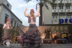 endance_crdoba_8_20120428_1584167166