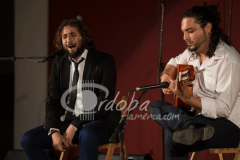 certamen-jovenes-flamencos-2014 (10)