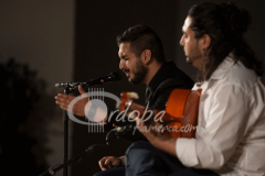 certamen-jovenes-flamencos-2014 (11)