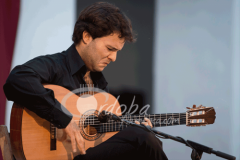 certamen-jovenes-flamencos-2014 (12)