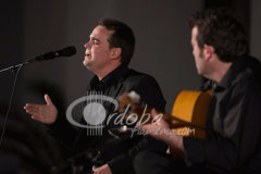 certamen-jovenes-flamencos-2014 (13)