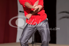 certamen-jovenes-flamencos-2014 (17)