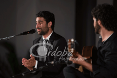 certamen-jovenes-flamencos-2014 (3)