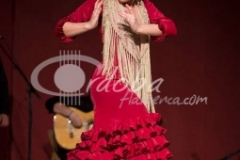 certamen-jovenes-flamencos-2014 (4)