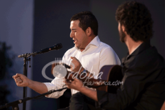 certamen-jovenes-flamencos-2014 (5)
