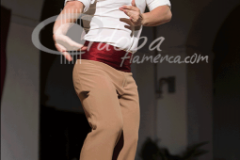 certamen-jovenes-flamencos-2014 (6)