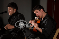 certamen-jovenes-flamencos-2014 (9)
