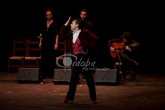 certamen-jovenes-flamencos-2015-03