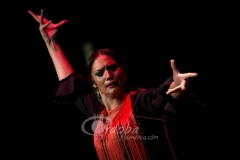 certamen-jovenes-flamencos-2015-07
