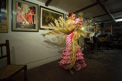 Certamen jóvenes flamencos desencaja 2012