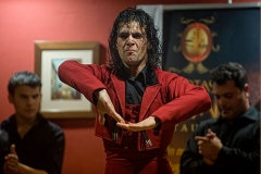 ngel_reyes_en_la_pea_flamenca_lucas_de_cija_20120220_1428371592