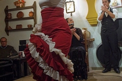 rosa_mara_herrador_en_el_rincn_del_cante_20120212_1018517508