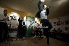 Certamen jóvenes flamencos desencaja 2013