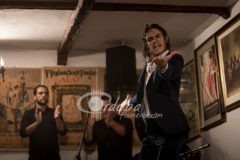 Certamen Jóvenes Flamencos Desencaja 2015