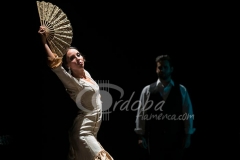 ensayo_flamenco_20130806_1054596226