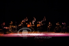 ensayo_flamenco_20130806_1084767699