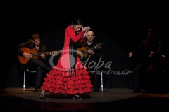 ensayo_flamenco_20130806_1103194872
