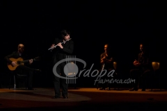 ensayo_flamenco_20130806_1133789310
