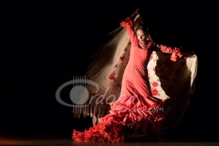 ensayo_flamenco_20130806_1293829439
