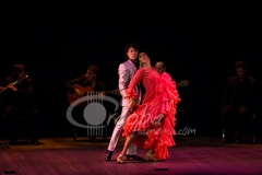 ensayo_flamenco_20130806_1320200356