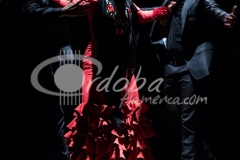 ensayo_flamenco_20130806_1416587317