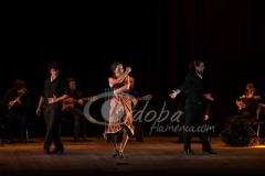 ensayo_flamenco_20130806_1514519088