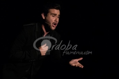 ensayo_flamenco_20130806_1620855613