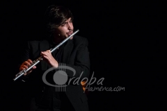 ensayo_flamenco_20130806_1696592964
