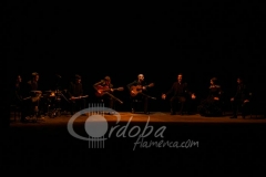 ensayo_flamenco_20130806_1740862263