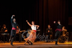 ensayo_flamenco_20130806_1889212141