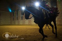 Córdoba Ecuestre